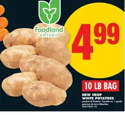 No Frills NEW CROP WHITE POTATOES, 10 LB BAG offer