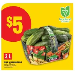 No Frills DILL CUCUMBERS, 3L offer