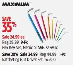 Canadian Tire MAXIMUM Hex Key Set offer