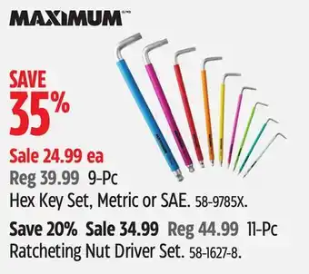 Canadian Tire MAXIMUM Hex Key Set offer