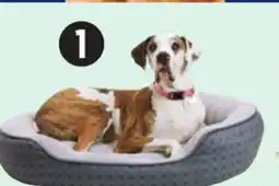 Canadian Tire Petco Dog Bed, 43˝ x 37˝ offer