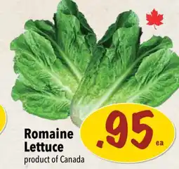Farm Boy Romaine Lettuce offer