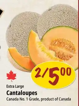 Farm Boy Extra Large Cantaloupes offer