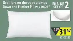 Sushi Shop Down and Feather Pillows 20x28 offer