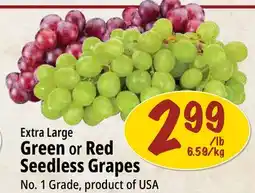 Farm Boy Extra Large Green or Red Seedless Grapes offer