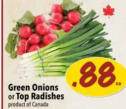 Farm Boy Green Onions or Top Radishes offer
