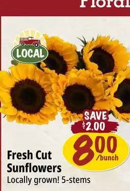 Farm Boy Fresh Cut Sunflowers offer