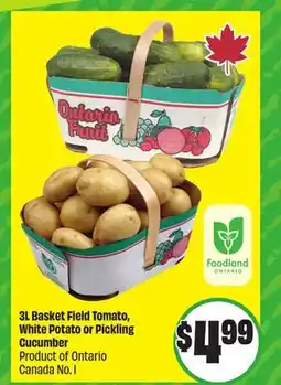 Chalo FreshCo 3L Basket Field Tomato, White Potato or Pickling Cucumber Product of Ontario Canada No. 1 offer