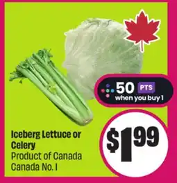 Chalo FreshCo Iceberg Lettuce or Celery Product of Canada Canada No. 1 offer