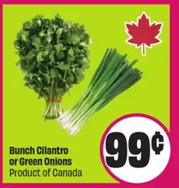 Chalo FreshCo Bunch Cilantro or Green Onions Product of Canada offer
