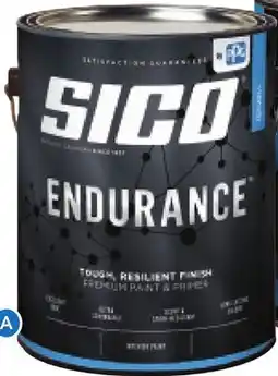 RONA SICO Endurance and Evolution interior paint offer
