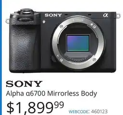 Vistek Alpha α6700 Mirrorless Body offer