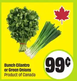 FreshCo Bunch Cilantro or Green Onions Product of Canada offer