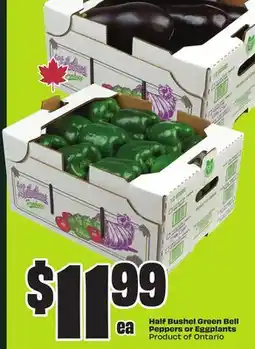 FreshCo Half Bushel Green Bell Peppers or Eggplants Product of Ontario offer