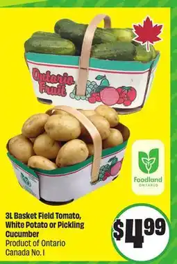 FreshCo 3L Basket Field Tomato, White Potato or Pickling Cucumber Product of Ontario Canada No. 1 offer
