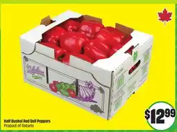 FreshCo Half Bushel Red Bell Peppers Product of Ontario offer