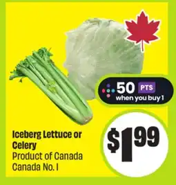 FreshCo Iceberg Lettuce or Celery Product of Canada Canada No. 1 offer