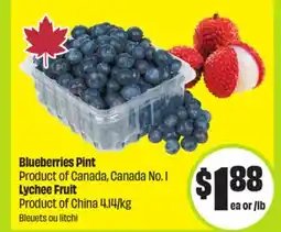 FreshCo Blueberries Pint Product of Canada, Canada No. 1 Lychee Fruit Product of China offer