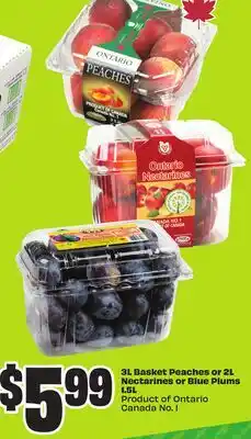 FreshCo 3L Basket Peaches or 2L Nectarines or Blue Plums 1.5L Product of Ontario Canada No. 1 offer