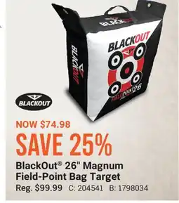 Cabela's BlackOut 26 Magnum Field-Point Bag Target offer