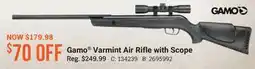 Cabela's Gamo Varmint Air Rifle with Scope offer