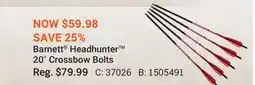 Cabela's Barnett Headhunter 20 Crossbow Bolts offer