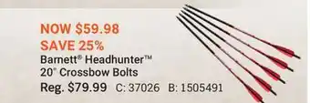 Cabela's Barnett Headhunter 20 Crossbow Bolts offer