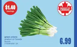 Wholesale Club GREEN ONIONS, Bunch offer