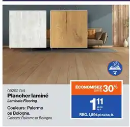 Patrick Morin Laminate Flooring offer