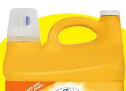Rossy OLD DUTCH Detergent offer