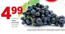 Avril raisins bleus bios offer