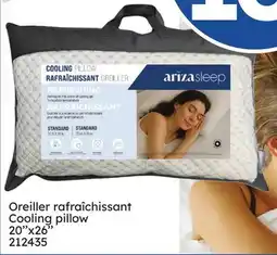 Rossy Oreiller rafraîchissant Cooling pillow offer
