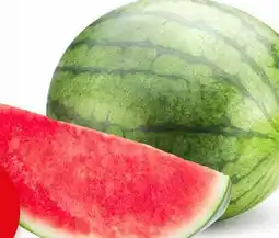 Avril melon d'eau entier bio offer