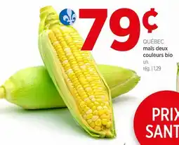 Avril maïs deux couleurs bio offer