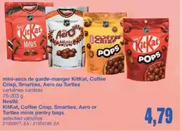 Wholesale Club MINI-SACS DE GARDE-MANGER KITKAT, COFFEE CRISP, SMARTIES, AERO OU TURTLES, 76-203 g offer