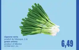 Wholesale Club OIGNONS VERTS, 2 LB offer