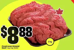 FreshCo Fresh Lean Ground Beef offer