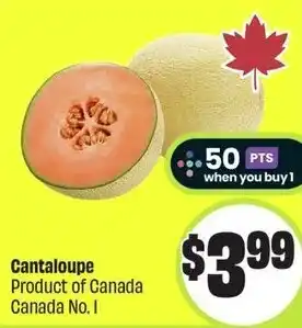 FreshCo Cantaloupe offer