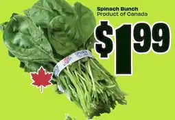 FreshCo Spinach bunch offer