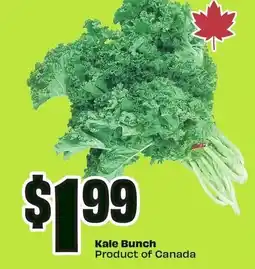 FreshCo Kale bunch offer