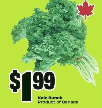 FreshCo Kale bunch offer