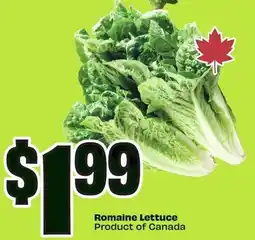 FreshCo Romaine Lettuce offer
