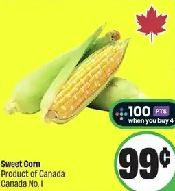 FreshCo Sweet Corn offer