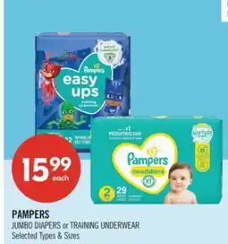 Shoppers Drug Mart PAMPERS JUMBO DIAPERS or TRAINING UNDERWEAR offer