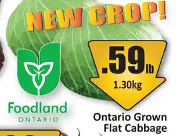 Starsky Ontario Grown Flat Cabbage offer