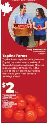Independent City Market VINE RIPE FIELD TOMATOES offer