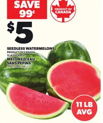 Independent City Market SEEDLESS WATERMELONS, 11 LB AVERAGE offer