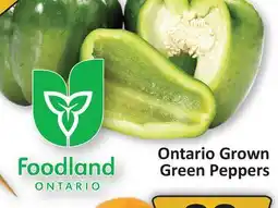 Ontario Grown Green Peppers