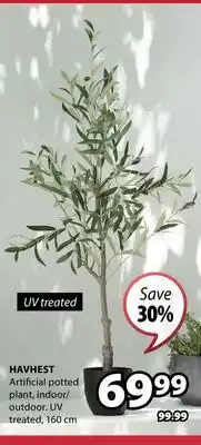 JYSK Havhest Artificial potted plant offer
