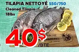 Marche Salaberry TILAPIA NETTOYÉ 550/750 offer